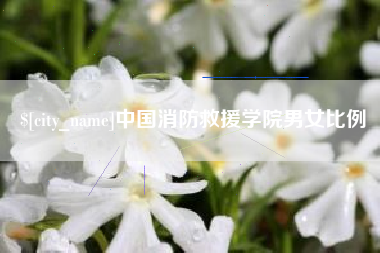 新野中国消防救援学院男女比例