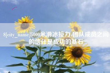新野5000米滑冰接力-团队成员之间的信任是成功的基石
