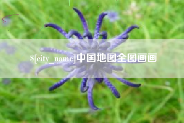 新野中国地图全图画画