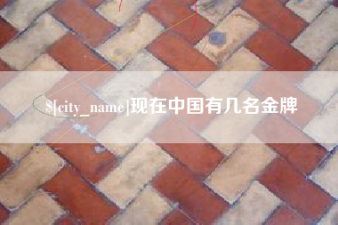 新野现在中国有几名金牌