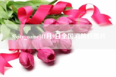 新野11月9日全国消防日图片