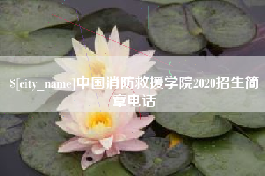 新野中国消防救援学院2020招生简章电话