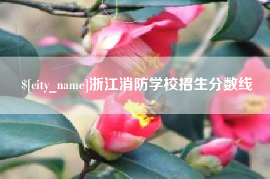 新野浙江消防学校招生分数线