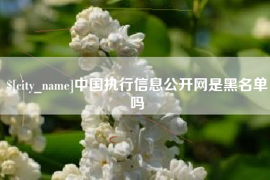 新野中国执行信息公开网是黑名单吗