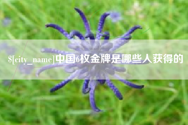 新野中国6枚金牌是哪些人获得的