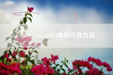 新野2021年的九宫方位