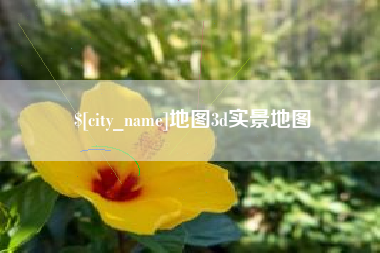 新野地图3d实景地图