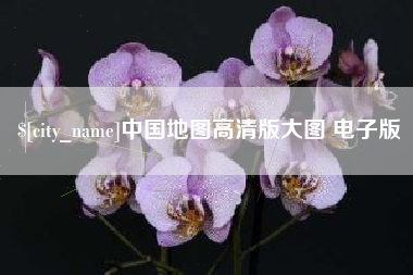 新野中国地图高清版大图 电子版
