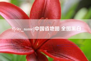 新野中国省地图 全图黑白