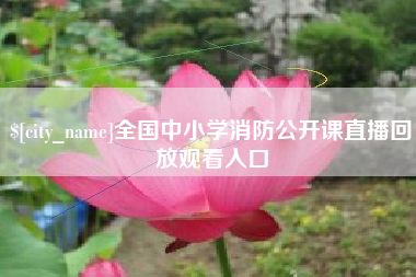 新野全国中小学消防公开课直播回放观看入口
