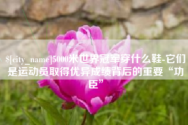 新野5000米世界冠军穿什么鞋-它们是运动员取得优异成绩背后的重要“功臣”