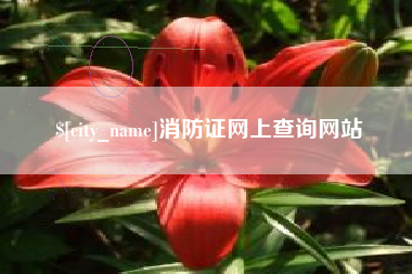 新野消防证网上查询网站