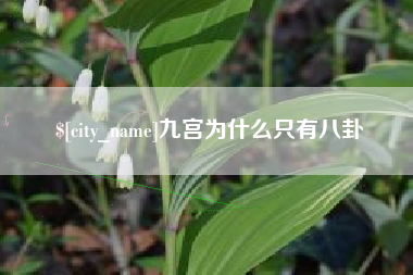 新野九宫为什么只有八卦