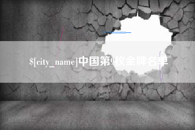 新野中国第9枚金牌名单