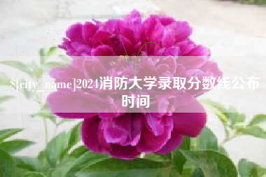 新野2024消防大学录取分数线公布时间