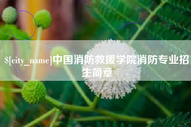 新野中国消防救援学院消防专业招生简章