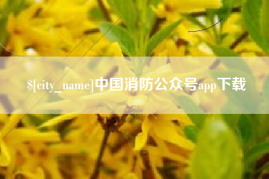 新野中国消防公众号app下载