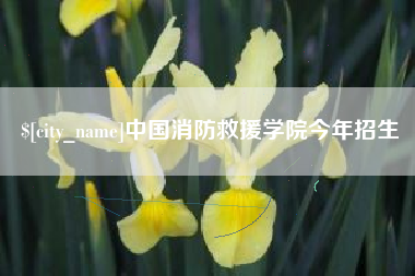 新野中国消防救援学院今年招生