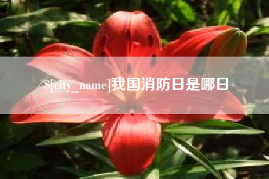 新野我国消防日是哪日