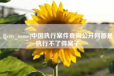 新野中国执行案件查询公开网都是执行不了得案子