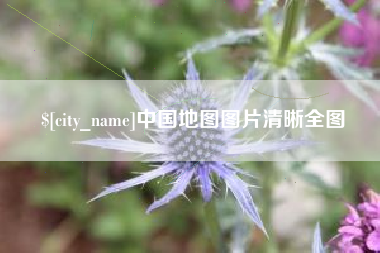 新野中国地图图片清晰全图