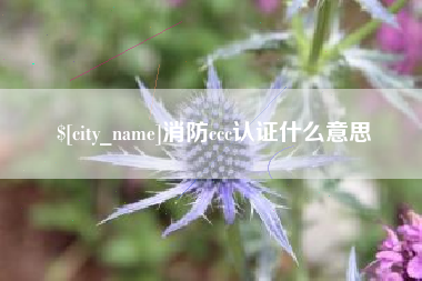 新野消防ccc认证什么意思