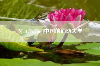 新野中国的消防大学