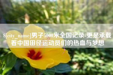 新野男子5000米全国记录-更是承载着中国田径运动员们的热血与梦想