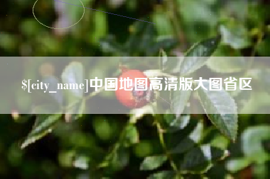 新野中国地图高清版大图省区