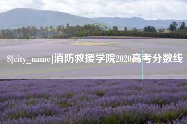 新野消防救援学院2020高考分数线