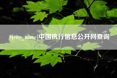 新野中国执行信息公开网查询