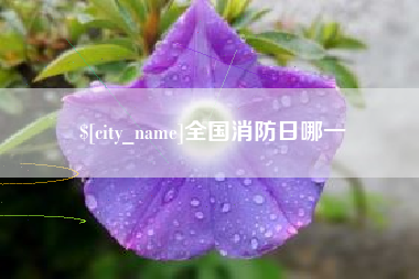 新野全国消防日哪一