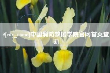 新野中国消防救援学院官网首页查询