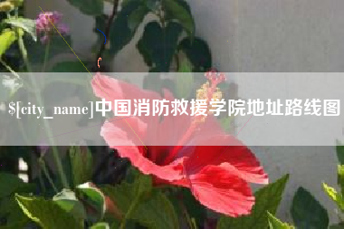 新野中国消防救援学院地址路线图