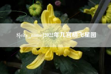 新野2022年九宫格飞星图