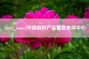 新野中国消防产品信息查询中心