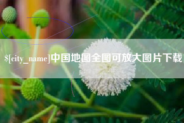 新野中国地图全图可放大图片下载