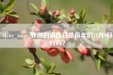 新野我国的消防日是每年的11月9日对吗？