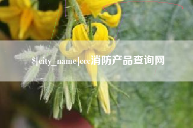 新野ccc消防产品查询网
