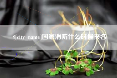 新野国家消防什么时候报名