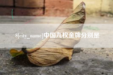 新野中国九枚金牌分别是