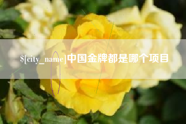新野中国金牌都是哪个项目