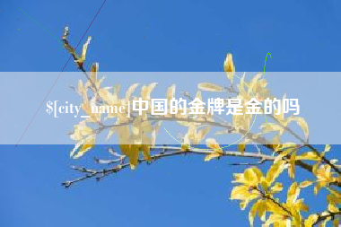 新野中国的金牌是金的吗