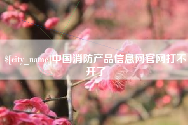 新野中国消防产品信息网官网打不开了