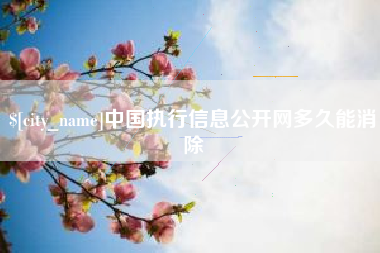 新野中国执行信息公开网多久能消除