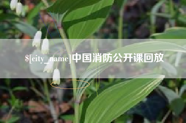 新野中国消防公开课回放