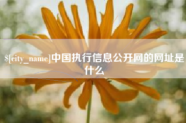 新野中国执行信息公开网的网址是什么