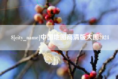 新野中国地图高清版大图2024