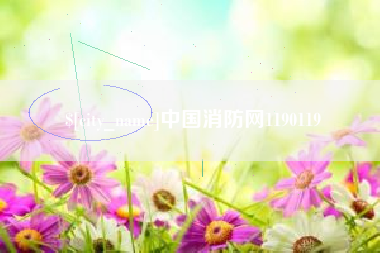 新野中国消防网1190119