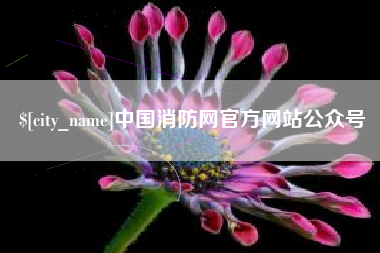 新野中国消防网官方网站公众号